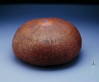 藏品(葫蘆雕刻-山谷的傳統)的圖片